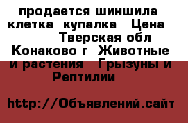 продается шиншила  клетка  купалка › Цена ­ 3 500 - Тверская обл., Конаково г. Животные и растения » Грызуны и Рептилии   